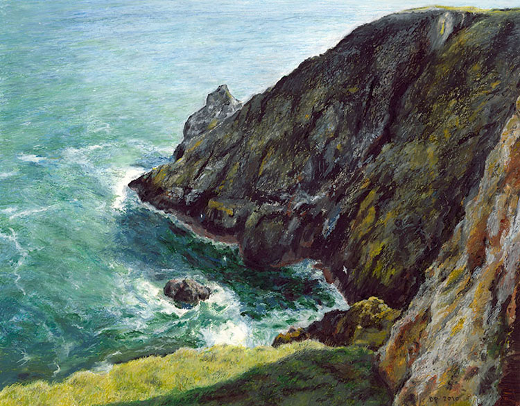 St Abbs Cliff