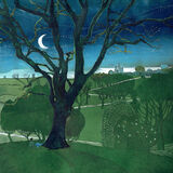 Greenwich Observatory collagraph iv