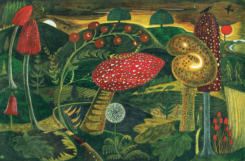 Magic Mushrooms (Aglow)