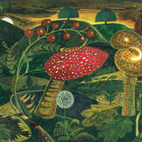 Magic Mushrooms (Aglow)