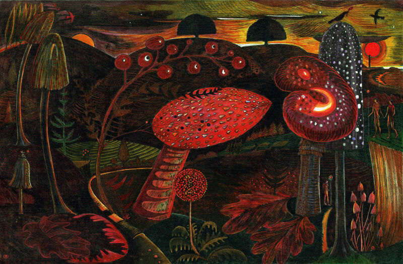 Magic Mushrooms (Summer Heat)