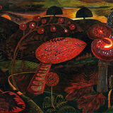 Magic Mushrooms (Summer Heat)