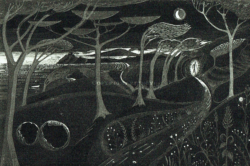 The Night Visitor 8/50