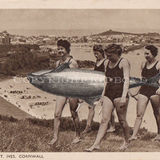 Rescue of the Common Porpoise
