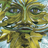 Winter Green Man (5 pack of cards)
