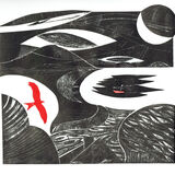 Domain of the Kite (Red Kite) A monochrome view of a coast with a red kite