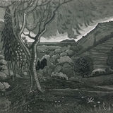 Reading Dark Mountain