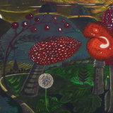 Magic Mushrooms (3 pack of cards)