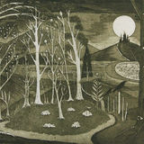 The Sacred Grove