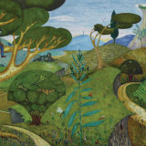 The Tree Climber (5 pack of cards)
