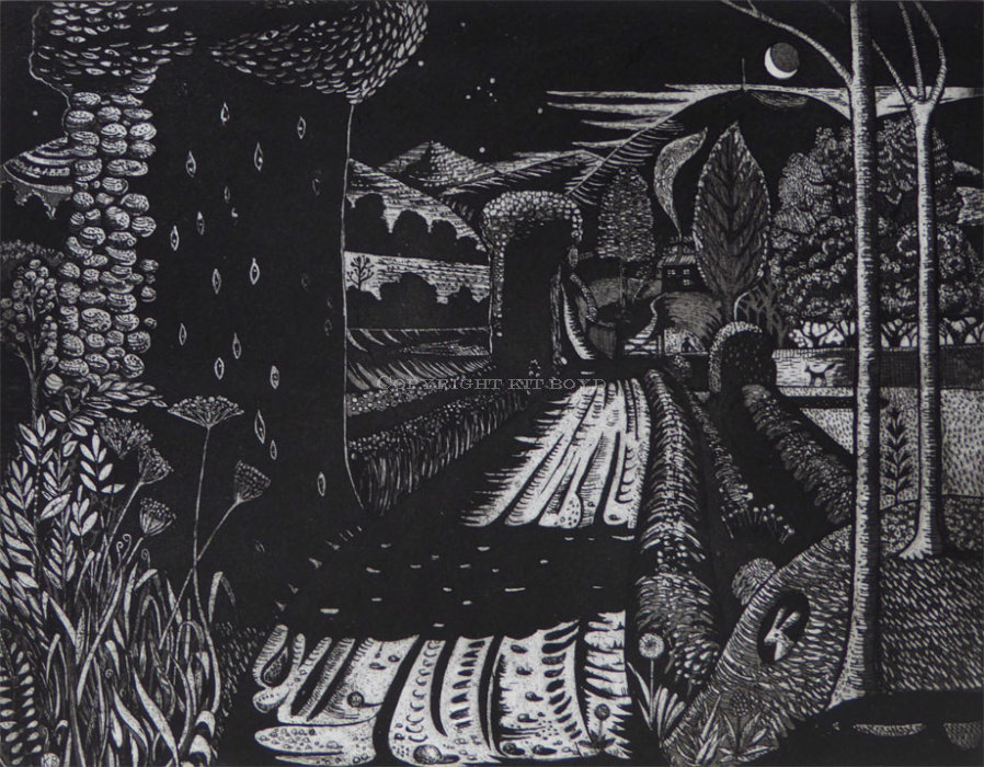 Night on the Lane