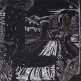 Night on the Lane