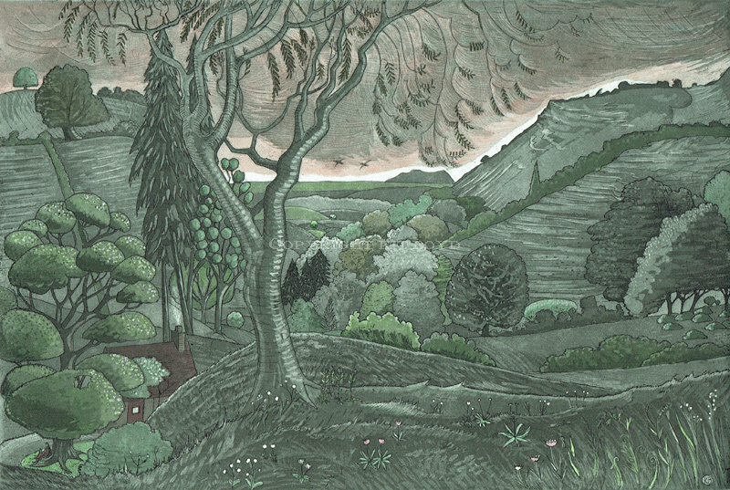 Reading Dark Mountain - After the rain