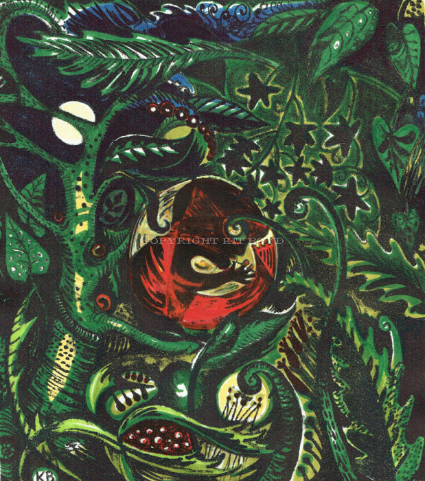The Teeming Womb - Nocturnale