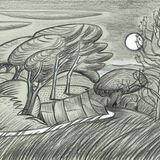 Ynys HIr Coast