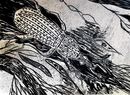 <b> weevil, woodcut</b>