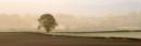 Autumn Panorama