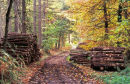 Wrekin Autumn