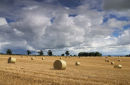 Shropshire Harvest #2