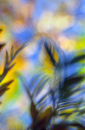 Leaf Impression