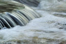 Foaming Waters