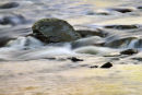 Cascade