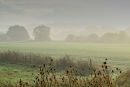 Daybreak Cressage