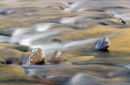 Cascade
