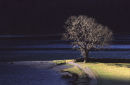Fading Light
