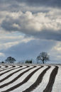 Field Patterns