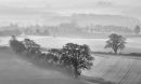 From Lythe Hill