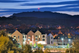 Winning entry in Lawley photo competition...