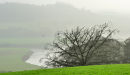 Leighton Mist