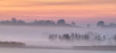 Misty Sunset