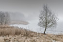 Misty Lake