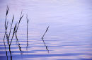 Reflections