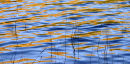 Reflections