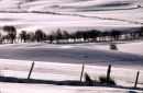 Fences and Hedges