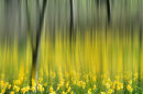 Spring Fantasy No2