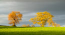 Storm Light No2