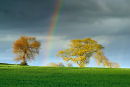 Storm Light
