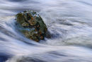 Stranded Rock