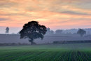 Sunset Sentinels