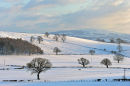 Winter Landscape