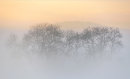Wrekin Mist
