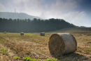 Wrekin Harvest