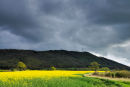 Approaching Storm