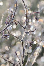 Winter highlights