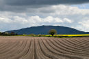 Furrows