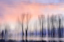 Reservoir Reflections